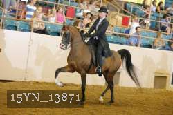 15YN_13871 thumbnail
