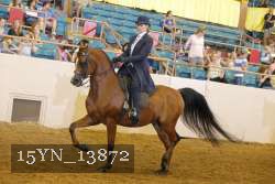 15YN_13872 thumbnail