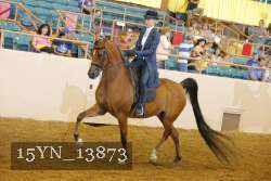 15YN_13873 thumbnail