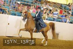 15YN_13875 thumbnail