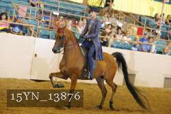 15YN_13876 thumbnail