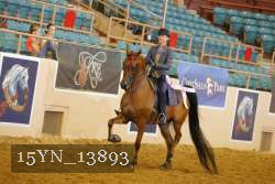 15YN_13893 thumbnail