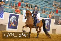 15YN_13894 thumbnail