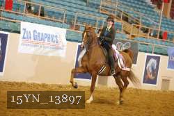15YN_13897 thumbnail