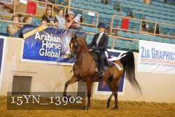 15YN_13902 thumbnail
