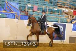 15YN_13903 thumbnail
