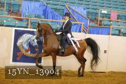 15YN_13904 thumbnail
