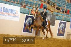 15YN_13907 thumbnail