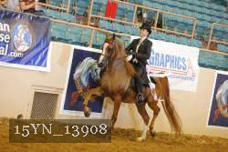 15YN_13908 thumbnail