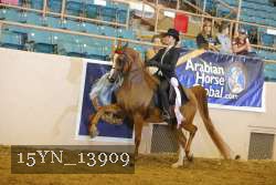 15YN_13909 thumbnail