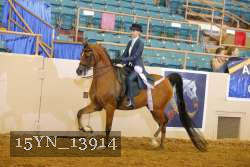 15YN_13914 thumbnail
