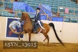 15YN_13915 thumbnail
