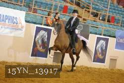 15YN_13917 thumbnail