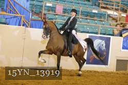 15YN_13919 thumbnail