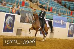 15YN_13920 thumbnail