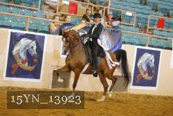 15YN_13923 thumbnail