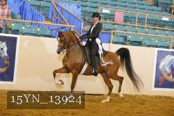 15YN_13924 thumbnail