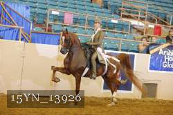 15YN_13926 thumbnail
