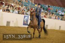 15YN_33818 thumbnail
