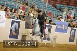 15YN_33914 thumbnail