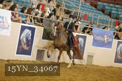 15YN_34067 thumbnail