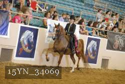 15YN_34069 thumbnail