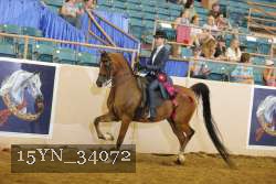 15YN_34072 thumbnail