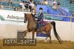 15YN_34073 thumbnail