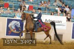 15YN_34074 thumbnail