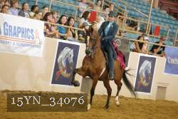 15YN_34076 thumbnail