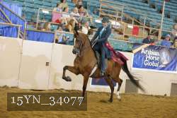 15YN_34077 thumbnail