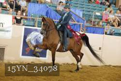 15YN_34078 thumbnail