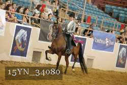 15YN_34080 thumbnail