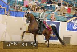 15YN_34083 thumbnail