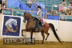 15YN_34084 thumbnail