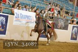 15YN_34087 thumbnail