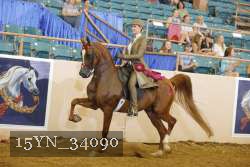 15YN_34090 thumbnail