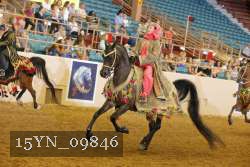 15YN_09846 thumbnail