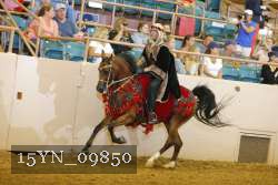 15YN_09850 thumbnail
