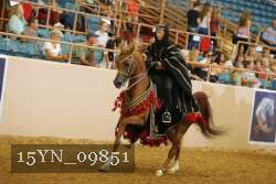 15YN_09851 thumbnail