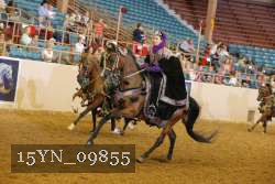 15YN_09855 thumbnail