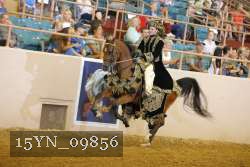15YN_09856 thumbnail