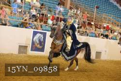 15YN_09858 thumbnail