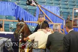 15YN_09905 thumbnail
