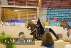15YN_09912 thumbnail