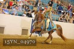 15YN_04970 thumbnail