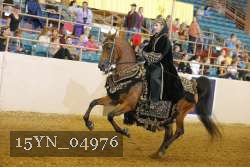 15YN_04976 thumbnail