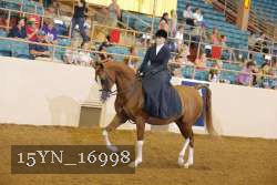 15YN_16998 thumbnail