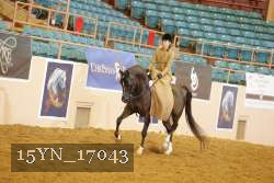 15YN_17043 thumbnail