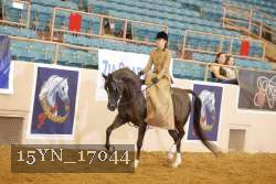 15YN_17044 thumbnail